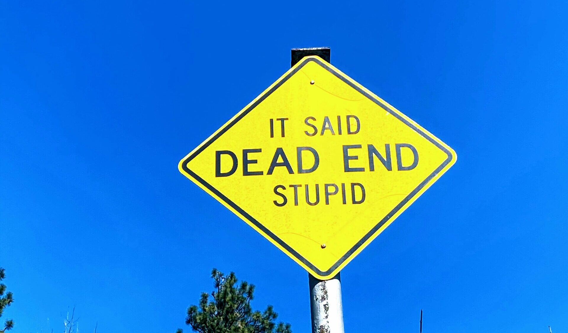 Top 10 Worst Incentives in Modern Australia