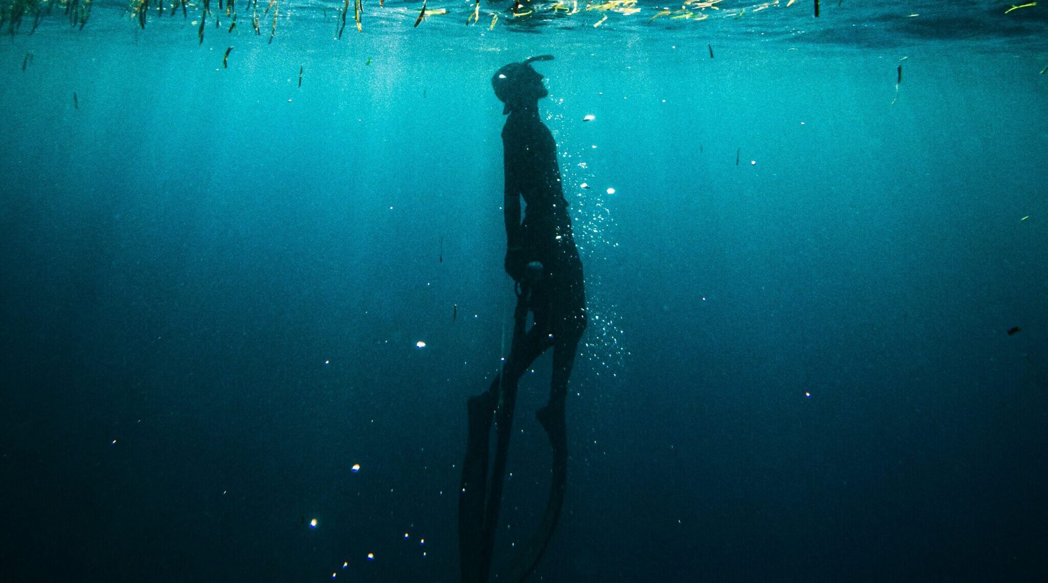 Echoes; An anthology